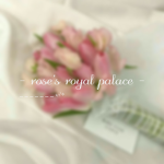 - rose's royal palace -