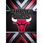 Chicago Bulls Official fan club