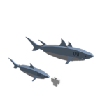 shark club boys