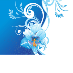 amazing_flowers