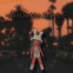 ~Aesthetic Angles~