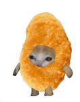 Chicken_nugget_Squad_FORVER