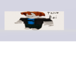 albert fan follow
