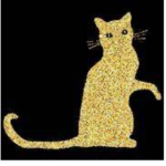 Golden kitty squad