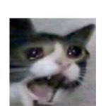 amiwos