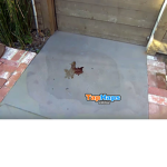 In Memory Of Cooper The Dog