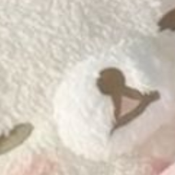 ꒰ᐢ. .ᐢ꒱