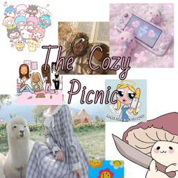 The Cozy Picnic 🤍