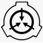 ( Rapid Response Team )