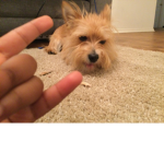 Lil king von fam