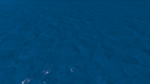 Fishy worldd