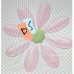 Daisy’s store
