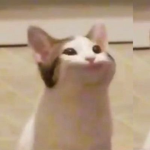 pop cat meme