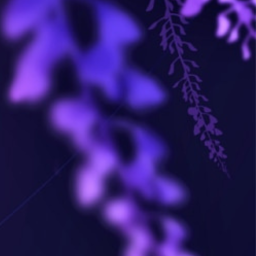 ✦