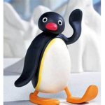 Penguin patroopers