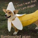 banana doggo's