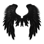 Black Radiance Wings [PBR]