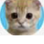CatJayGroup