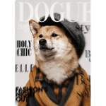 The cute little doges