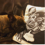 The French Bulldog Squad