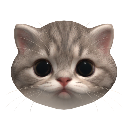 Cute Kitten Cat Head