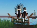 Daisy field riding academy