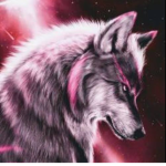 Wolfpack Group