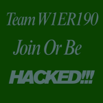 Team W1ER190