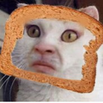 Crust's gang
