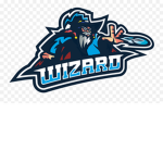 The ViZaRD Clan