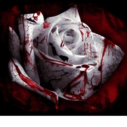 Forever