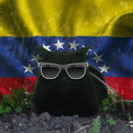 Devponk