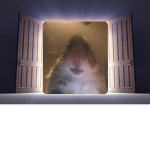 The Best Room
