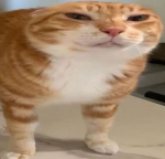 #이 그룹