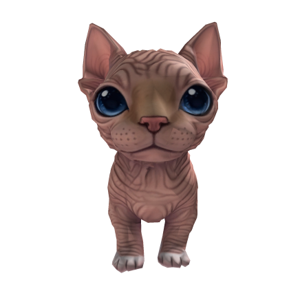SphynxCat [on the head] Roblox item