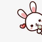 The Bunny Bunch Official