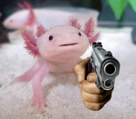 The Awesome Axolotlz