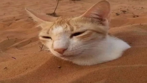 Auto farms auras, anti knockback, Farm 4x payout - Aura Battles [MAP UPDATE] script preview