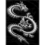 銀龍兒童 Yín lóng értóng.
