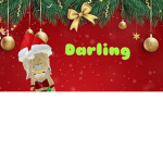 DARLINGS DE TY