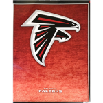ATL  Falcons group