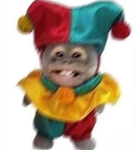 Elmonito