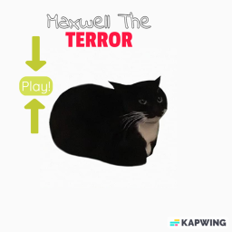 maxwell the terror