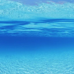 toaddddddddddddddddddddd icon