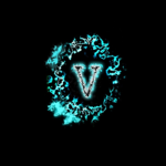VZF Party