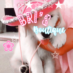 Preppy Bri’s Boutique
