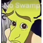 ShrekSquat