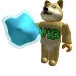 yolo doge