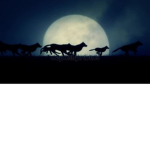 The Wolf Gathering