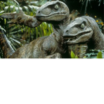 RAPTORS ARE GOOD